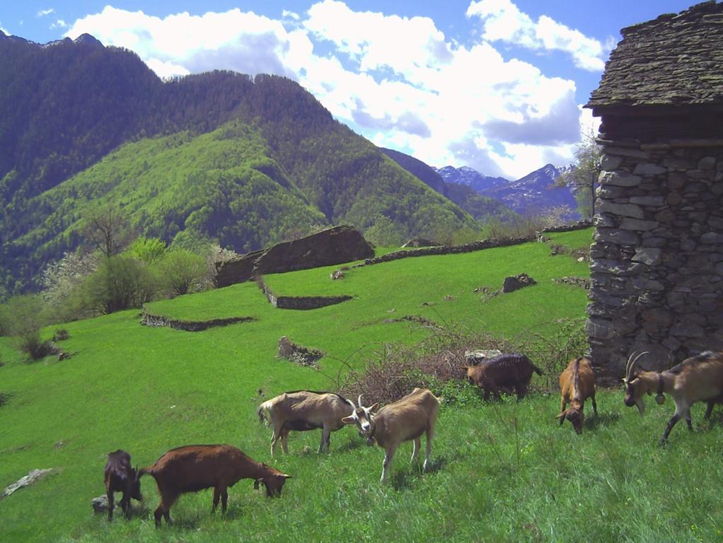 Agri Scinghioera Villa Brontallo ภายนอก รูปภาพ